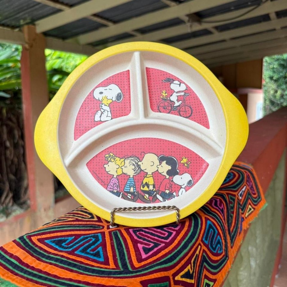 Peanuts Snoopy Divided Kids Plate Replacement Dinnerware